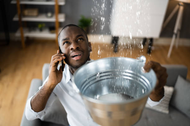 Best Local water damage restoration  in Five Forks, SC