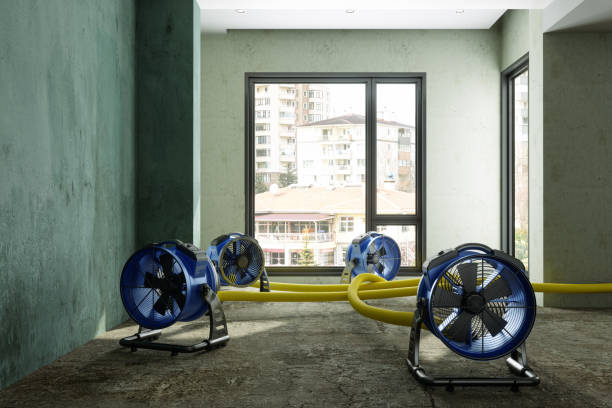 Best Water damage restoration insurance claims  in Five Forks, SC